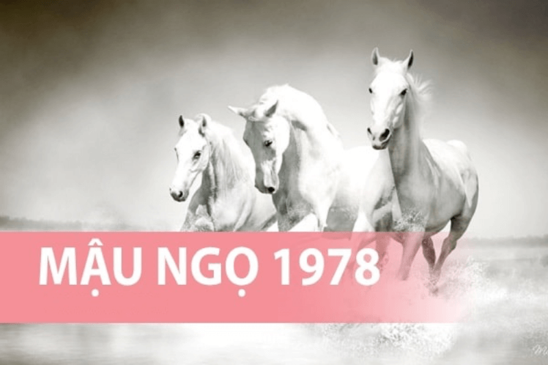 Cách chọn hướng bếp tuổi Mậu Ngọ 1978 cho Nữ Và Nam gia chủ